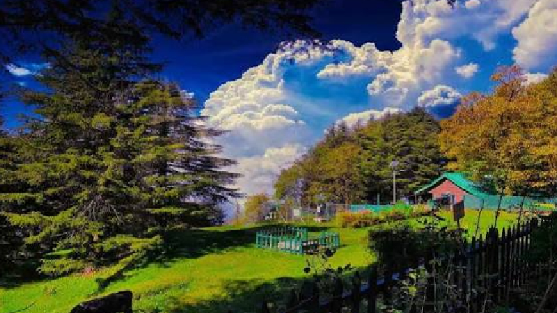 Complete Guide to Exploring Himachal by Self Drive Car